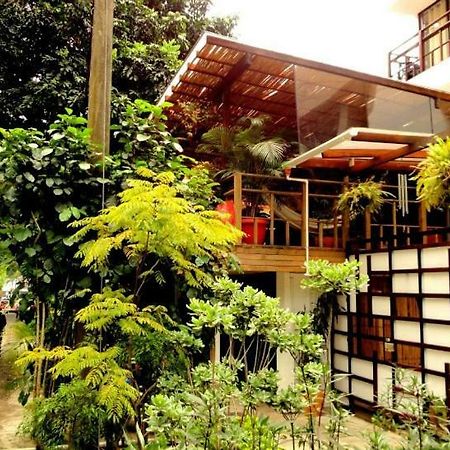 Casa Kiwi Hostel ميديلين المظهر الخارجي الصورة