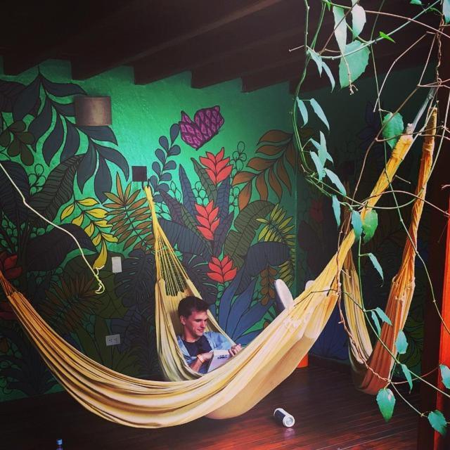 Casa Kiwi Hostel ميديلين المظهر الخارجي الصورة