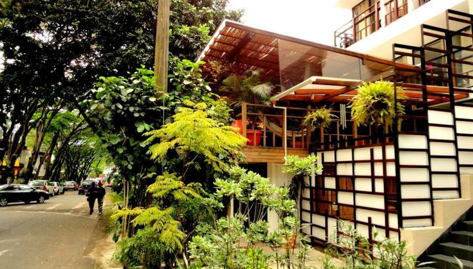 Casa Kiwi Hostel ميديلين المظهر الخارجي الصورة